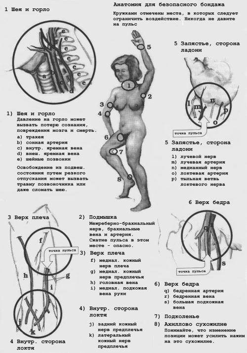 shibari-bezpeka